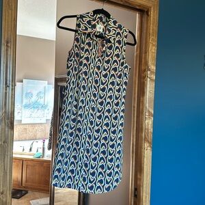 Cabi sleeveless shirt dress